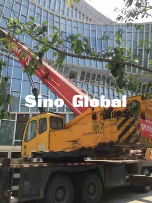 50 Tons Sany Used Truck Crane 58.5mm Lifting Height  For Construction